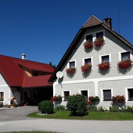 Ferienwohnung Biobauernhof Obereck Göstling an der Ybbs Exterior foto