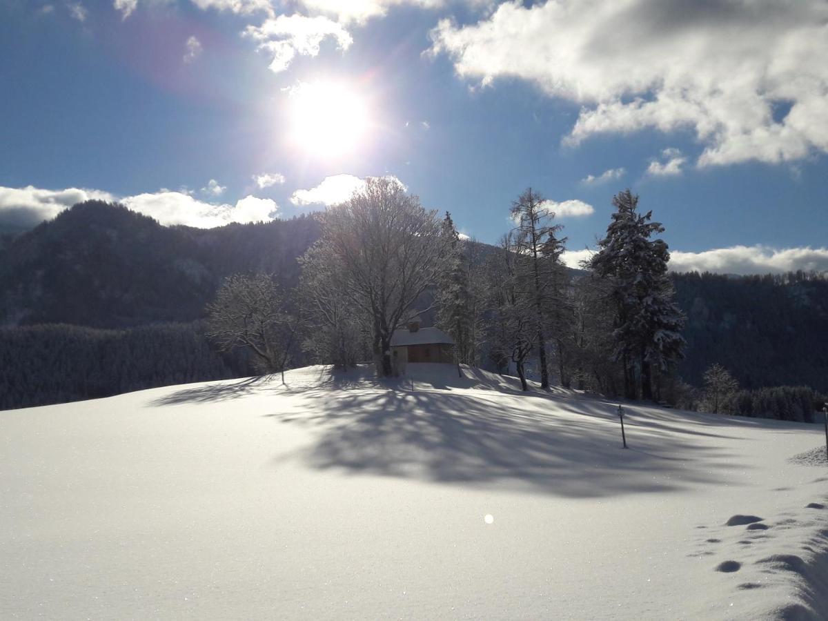 Ferienwohnung Biobauernhof Obereck Göstling an der Ybbs Exterior foto