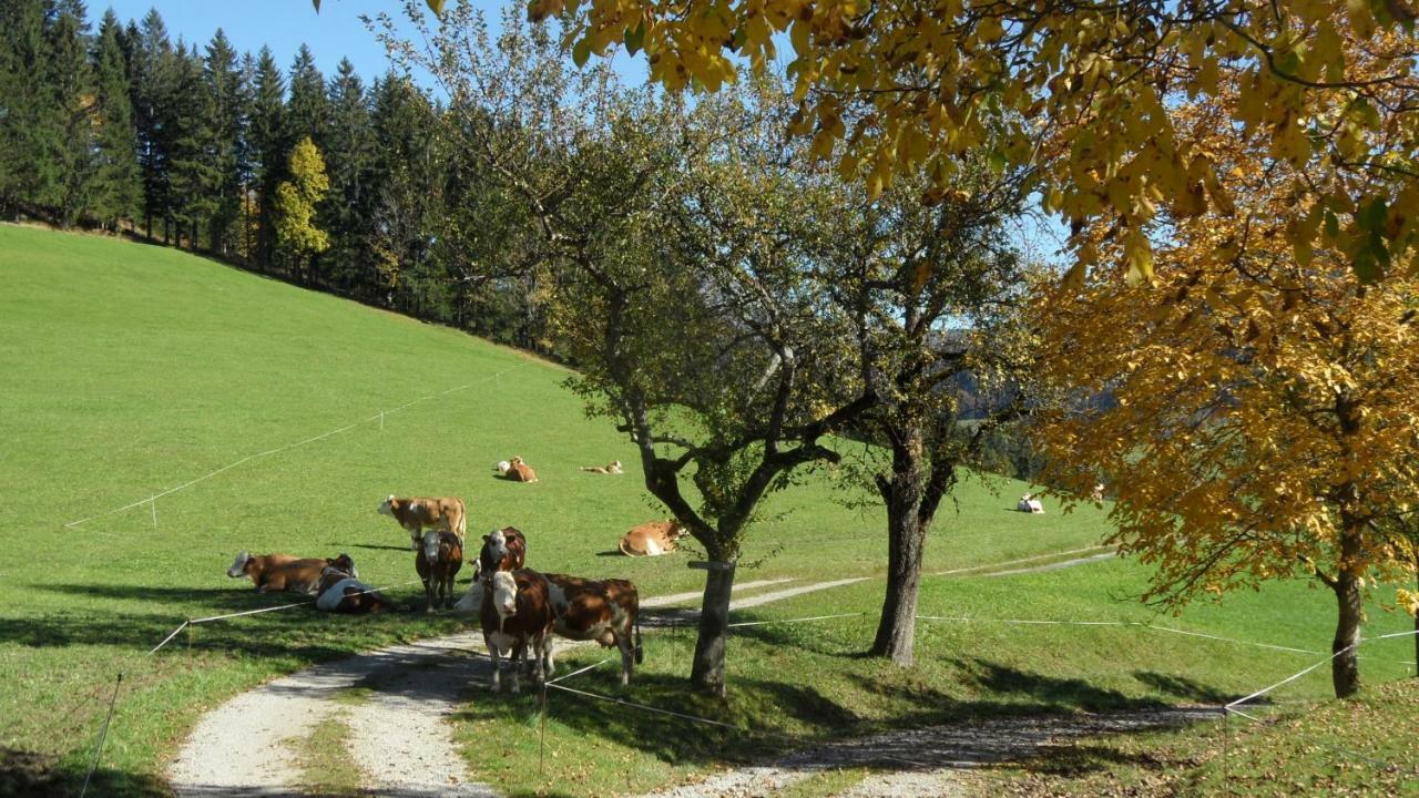 Ferienwohnung Biobauernhof Obereck Göstling an der Ybbs Exterior foto