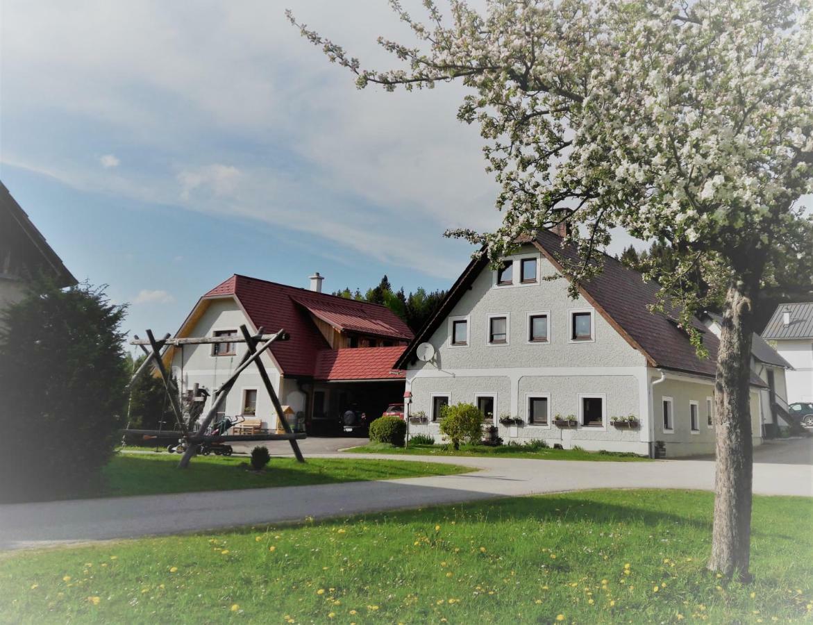 Ferienwohnung Biobauernhof Obereck Göstling an der Ybbs Exterior foto