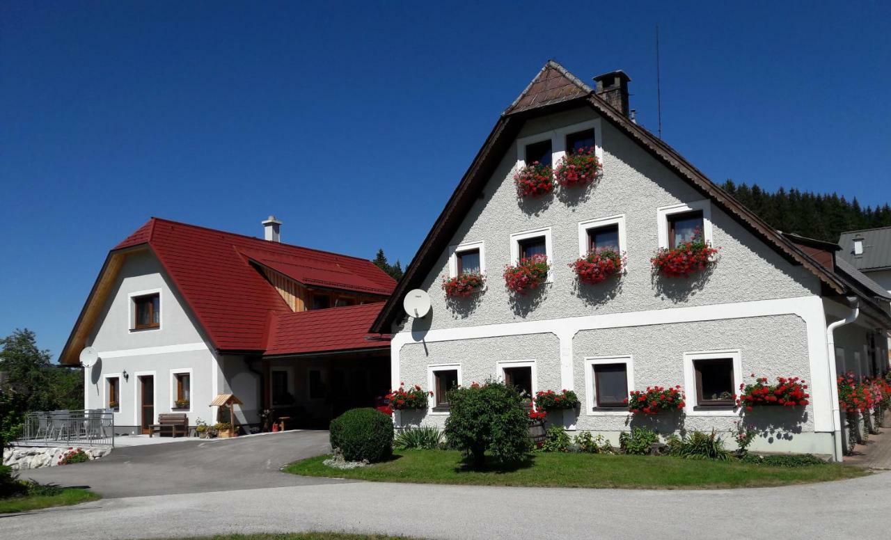 Ferienwohnung Biobauernhof Obereck Göstling an der Ybbs Exterior foto